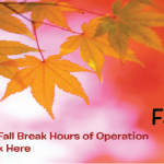 FallBreak