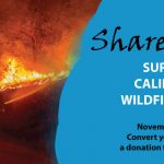 Wildfire-Web
