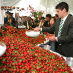 Commencement Strawberries
