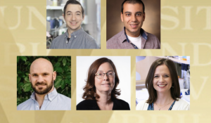 Celebrating recent appointments and promotions in the School of Medicine Basic Sciences