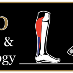 batlab-logo-v6-Zelik-Lab