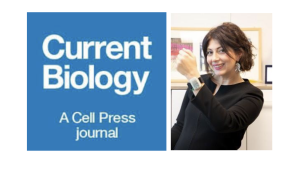 Bridging Neuroscience and Innovation: Spotlight on Monica Gori