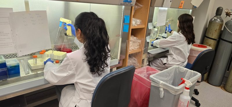 Neha (L) and Grace (R) already hard at work processing human islets for an experiment.