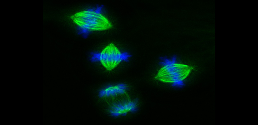 Vanderbilt University