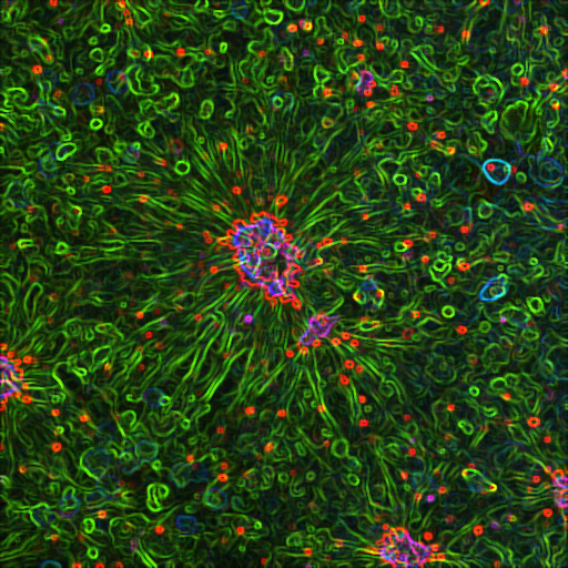 Vanderbilt University