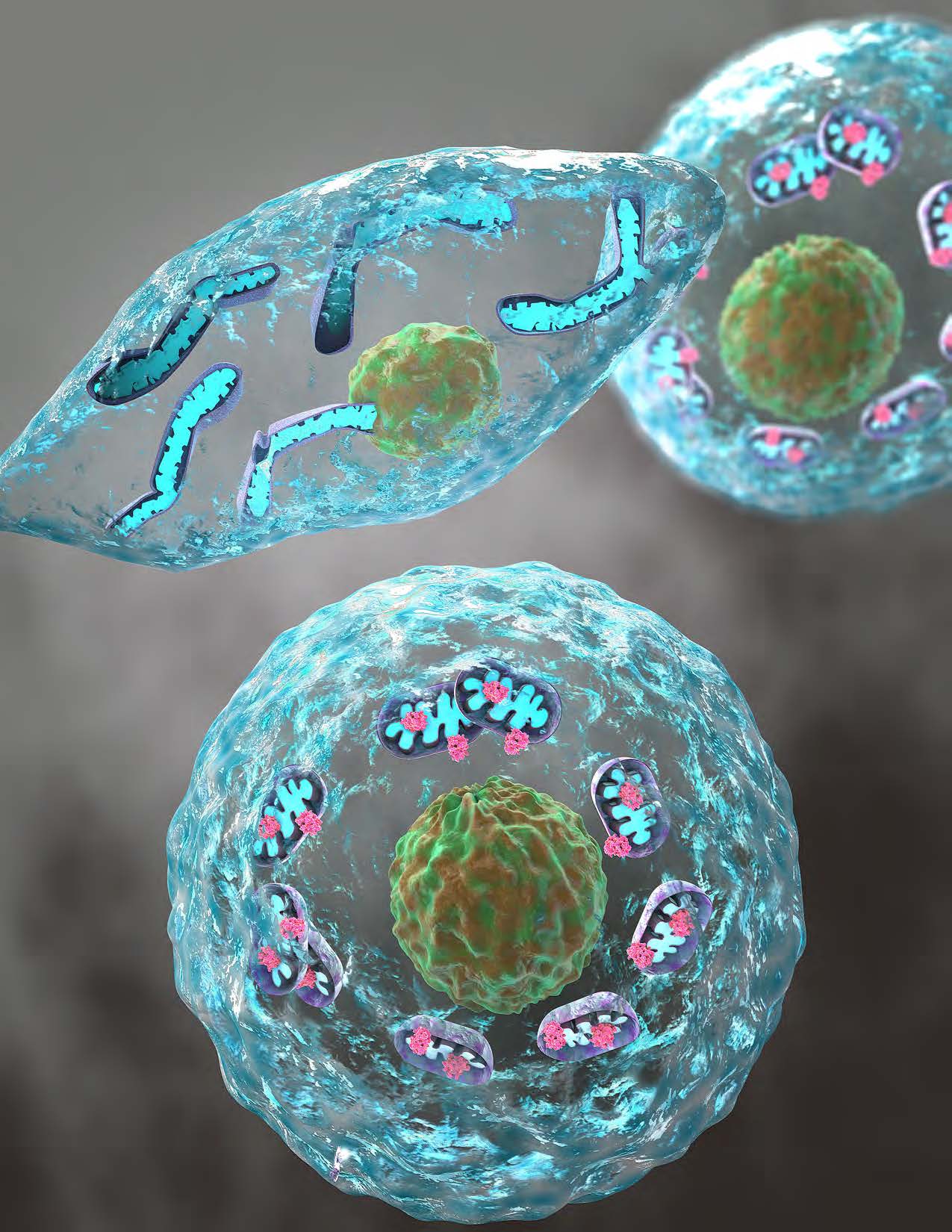 Vanderbilt University