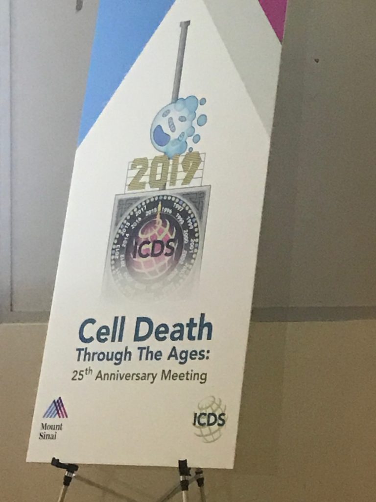 Vanderbilt University