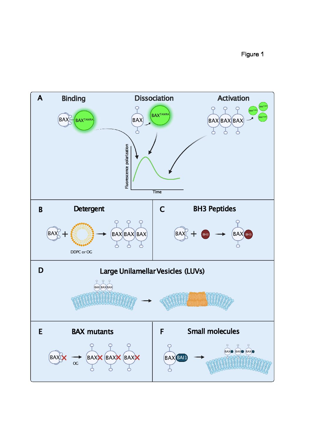 Vanderbilt University