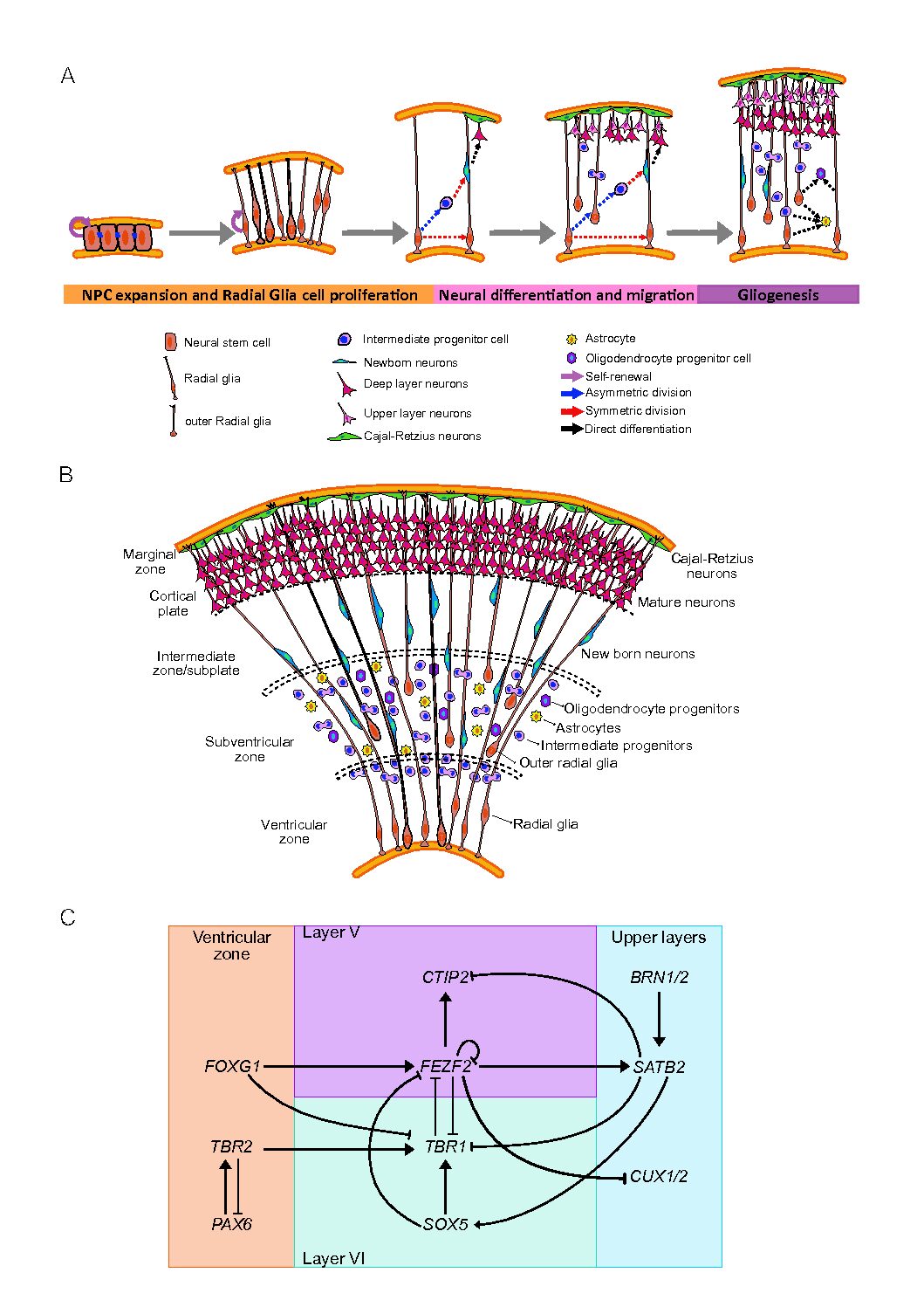 Vanderbilt University