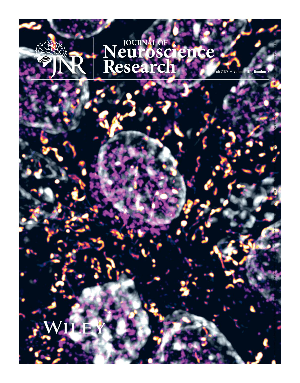 Vanderbilt University