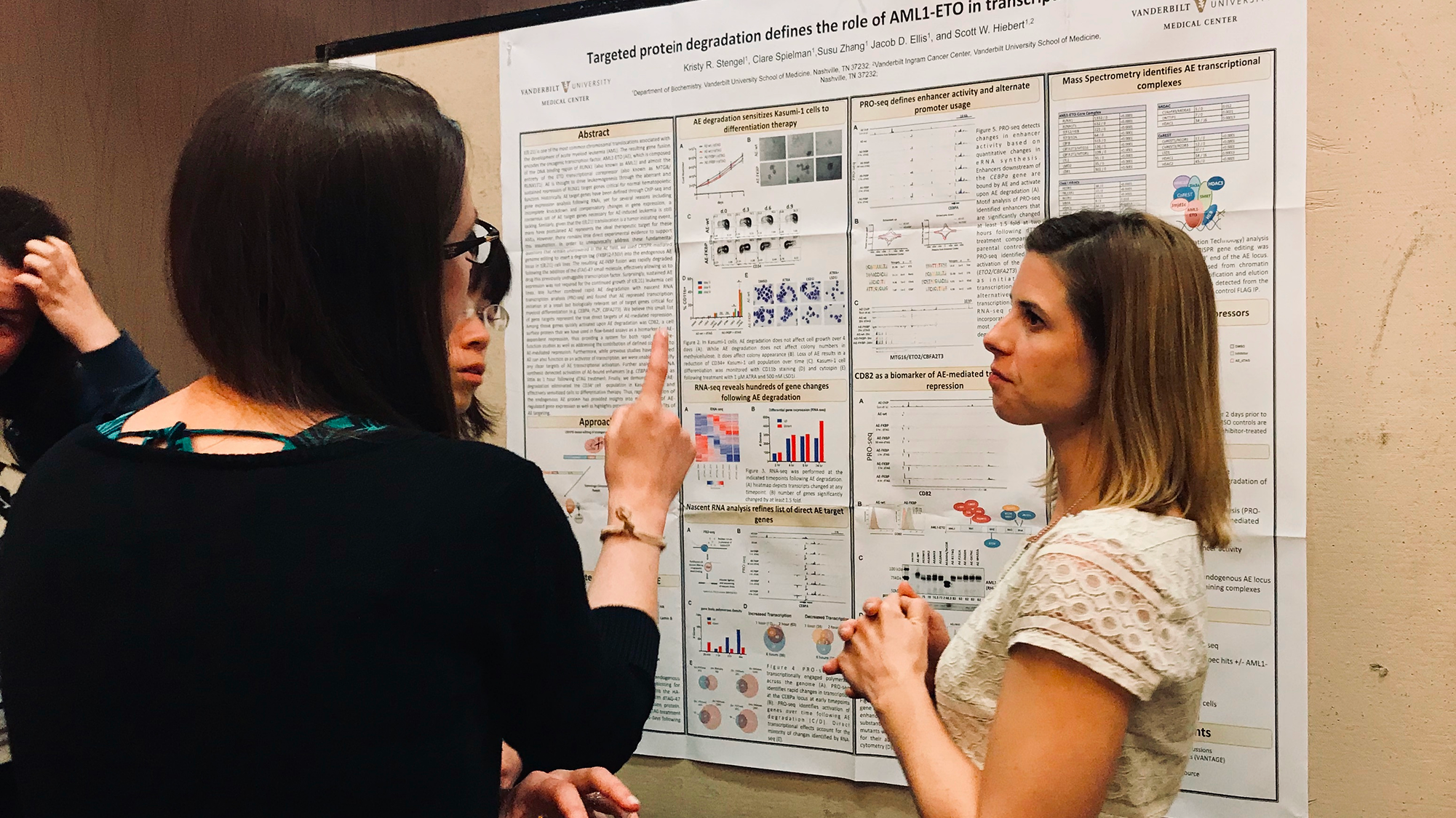 2019-07-31 Kristy presents the lab’s latest AML1-ETO research at the 2019 Hematologic Malignancies Conference.