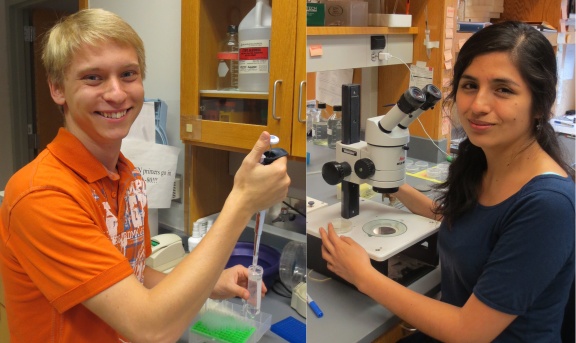 Vanderbilt University