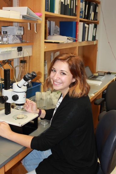 Vanderbilt University