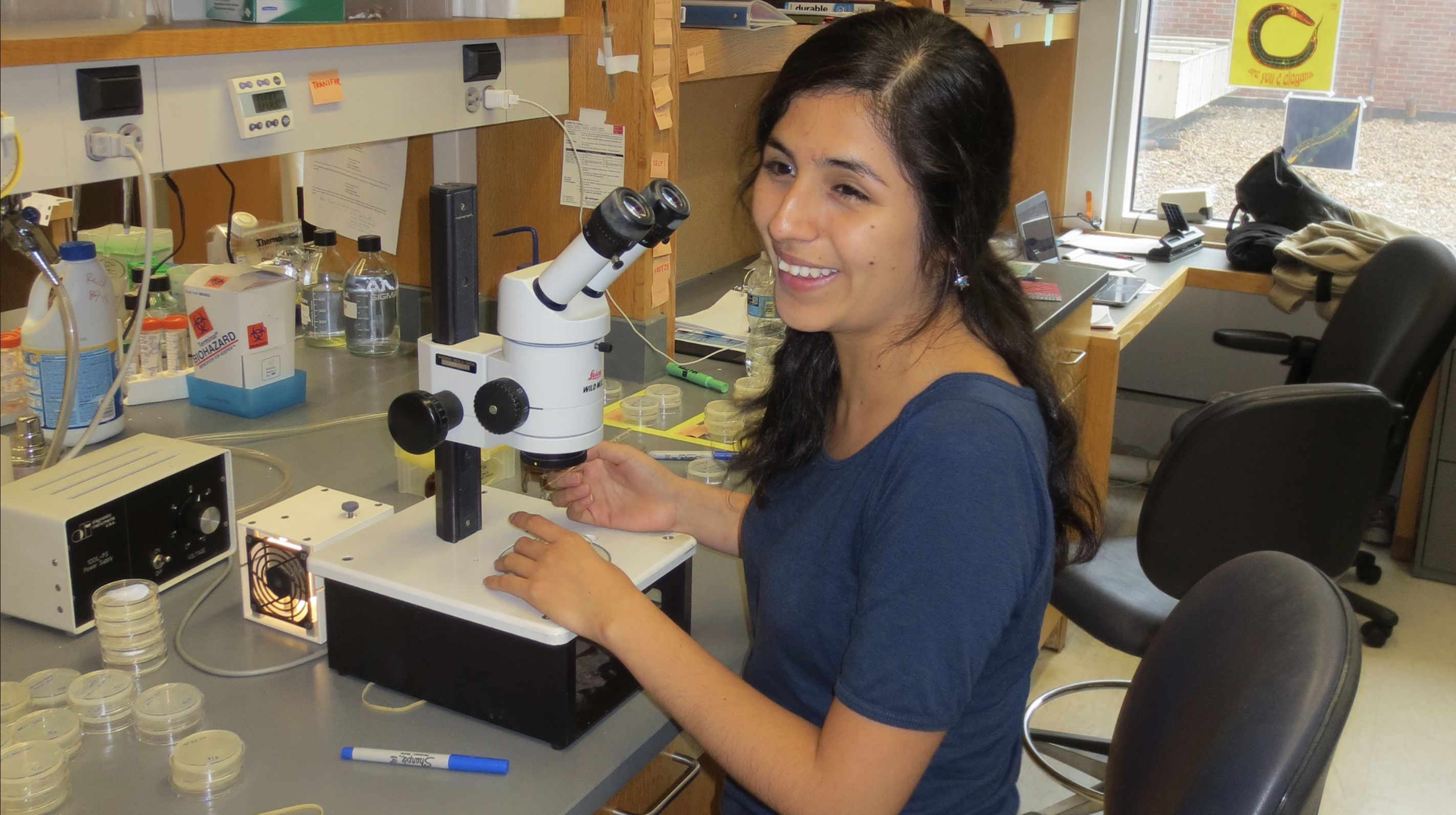 Vanderbilt University