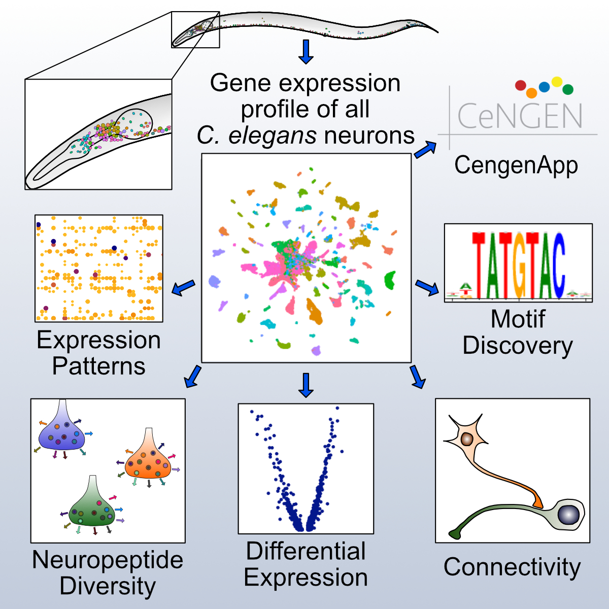 Vanderbilt University