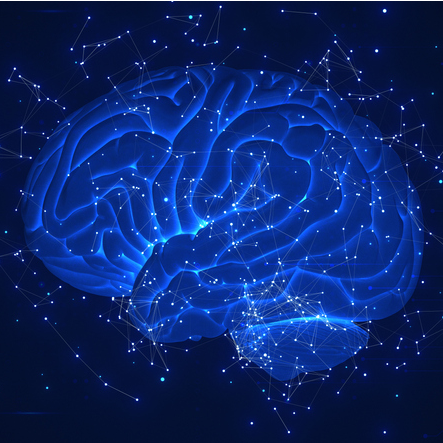 Graphic of a brain colored in dark blue and lightly glowing.