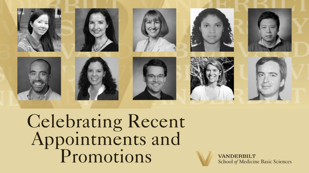 Image with Vanderbilt gold logo in background. Bottom half of image shows Vanderbilt School of Medicine Basic Sciences logo on right and “Celebrating Recent Appontments and Promotions” left. Top half of image shows two rows of headshots. Top row of headshots, left to right: Quỳnh Anh Nguyen, Anna Edmondson, Karin Bosma, Alejandra Paola Torres Manzo, Jinhui Dong. Bottom row, left to right: Juan Pablo Arroyo Ornelas, Kristie Rose, M. Wade Calcutt, Michelle Reyzer, W. Hayes McDonald.