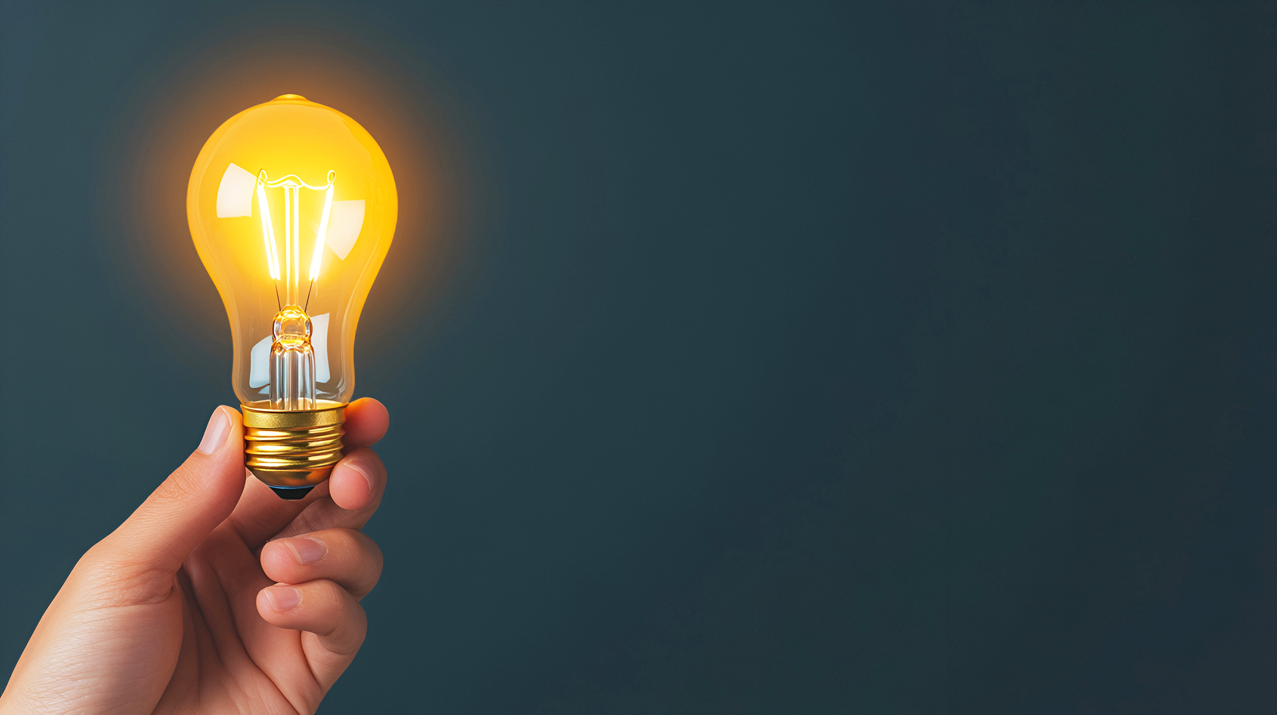 Image of a hand holding a lightbulb.