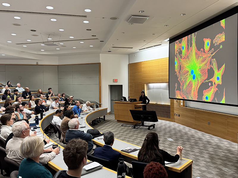 Photo of Jin Zhang at podium speaking to an audience.