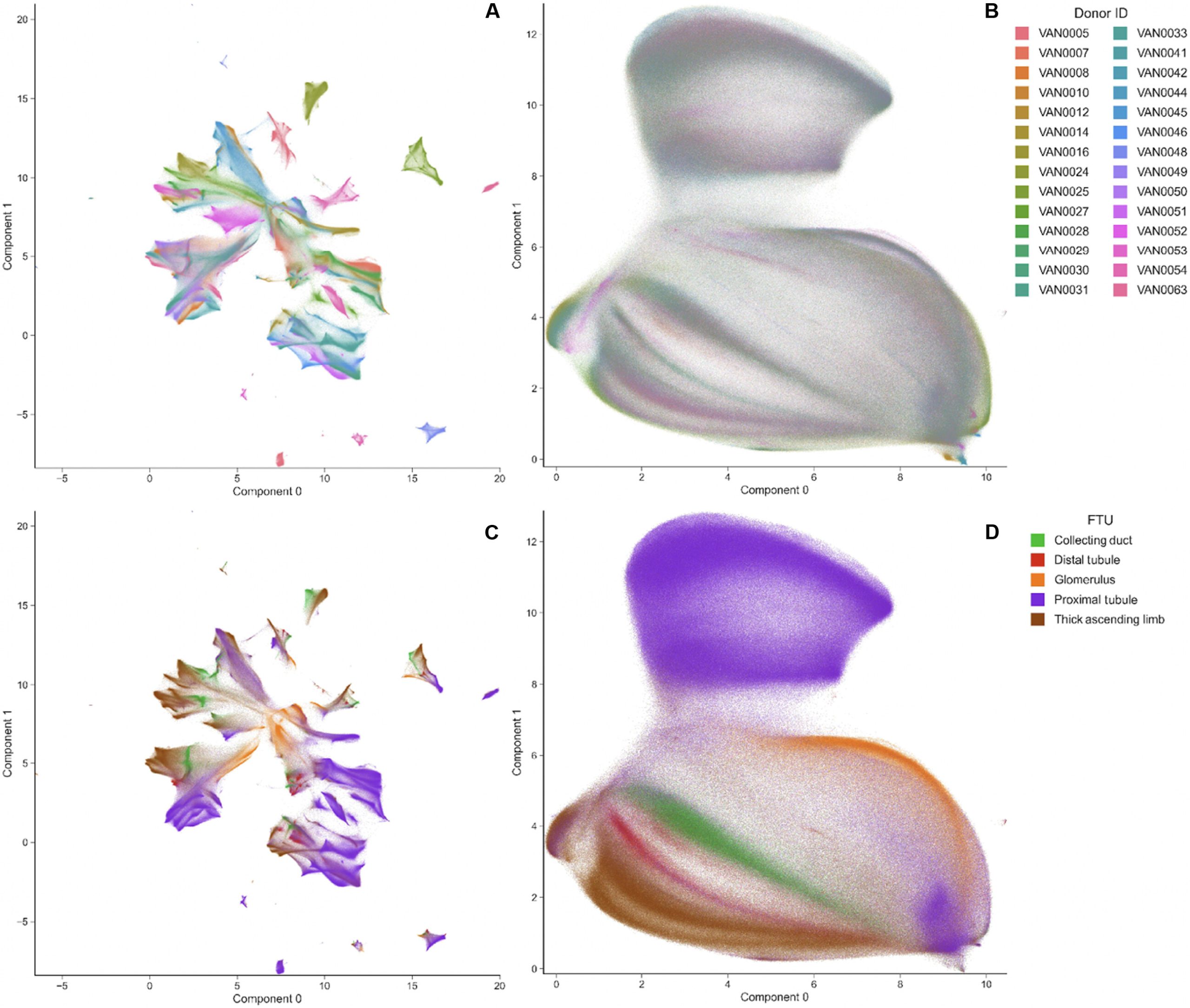 Two-dimensional visualization of chemical variation in the negative ionization mode experiment cohort