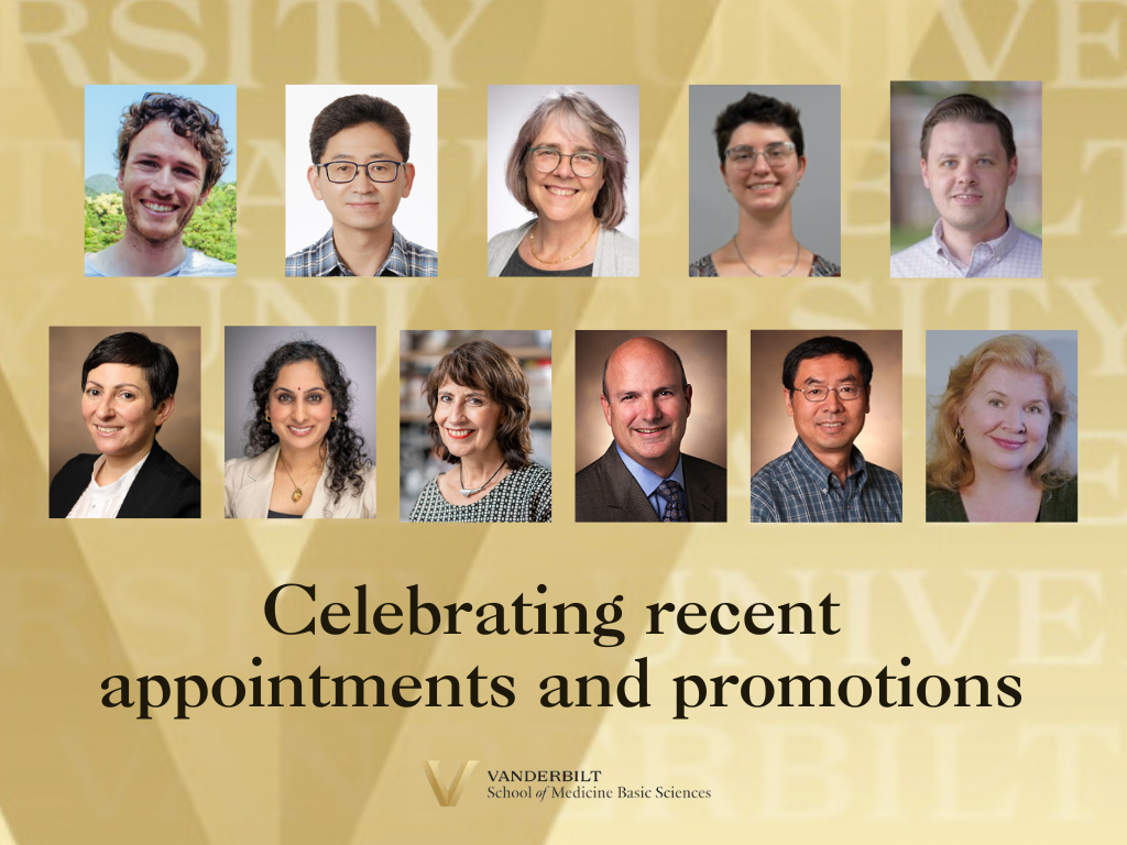 Q1 FY 2025-2026 WP featured image