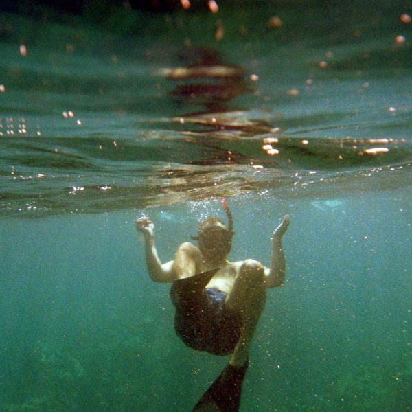 David Stiles swimming with turtles in Maui, HI.
