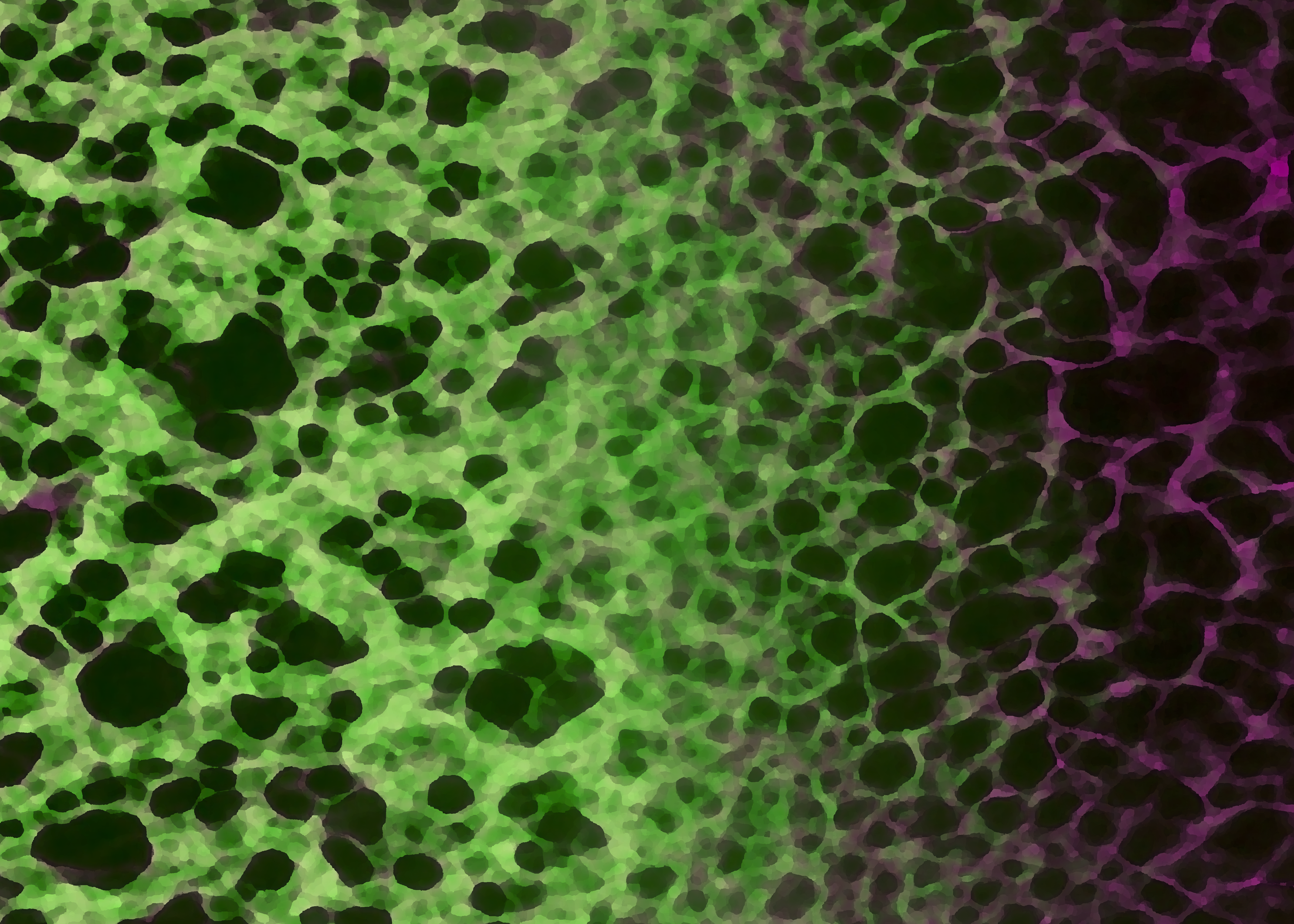 Stylized microscopy image showing a matrix of holes in green on the left and magenta on the right.
