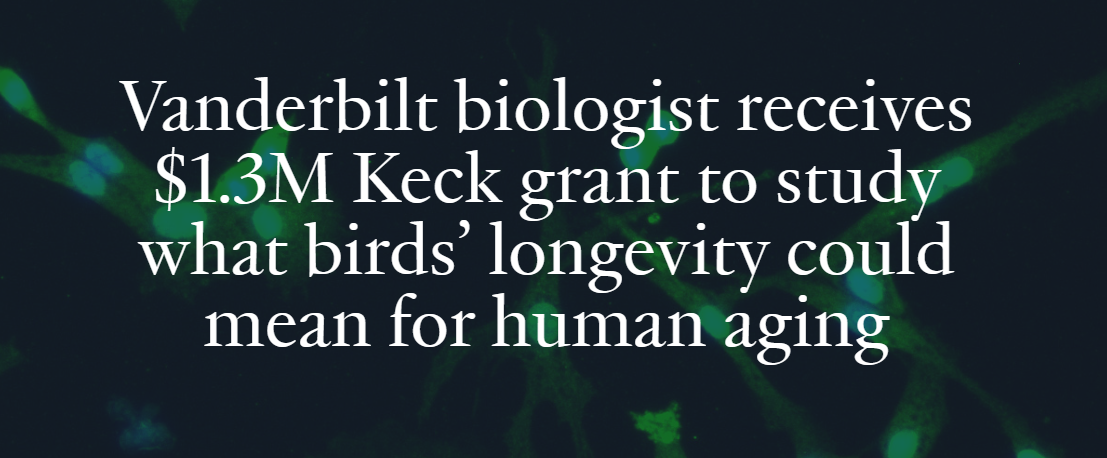 Vanderbilt University