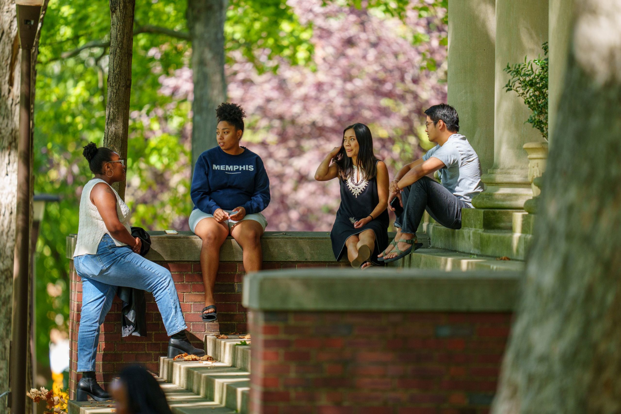 Clown fish swimming in a tank.