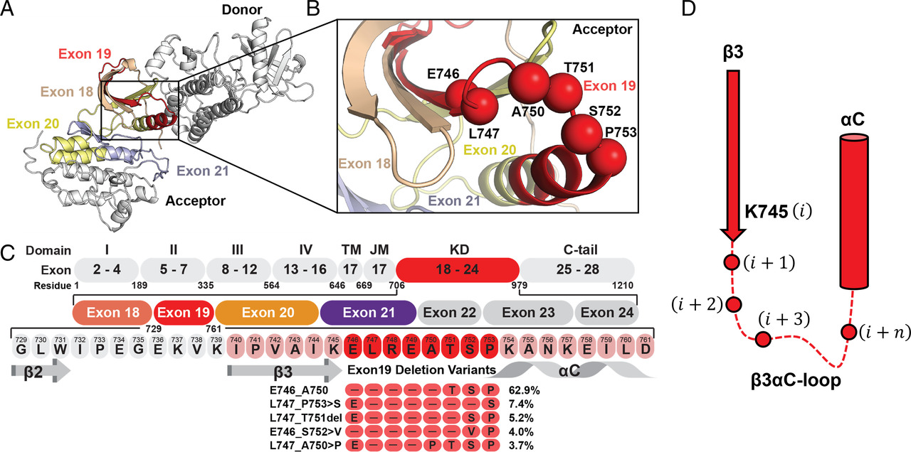 Vanderbilt University