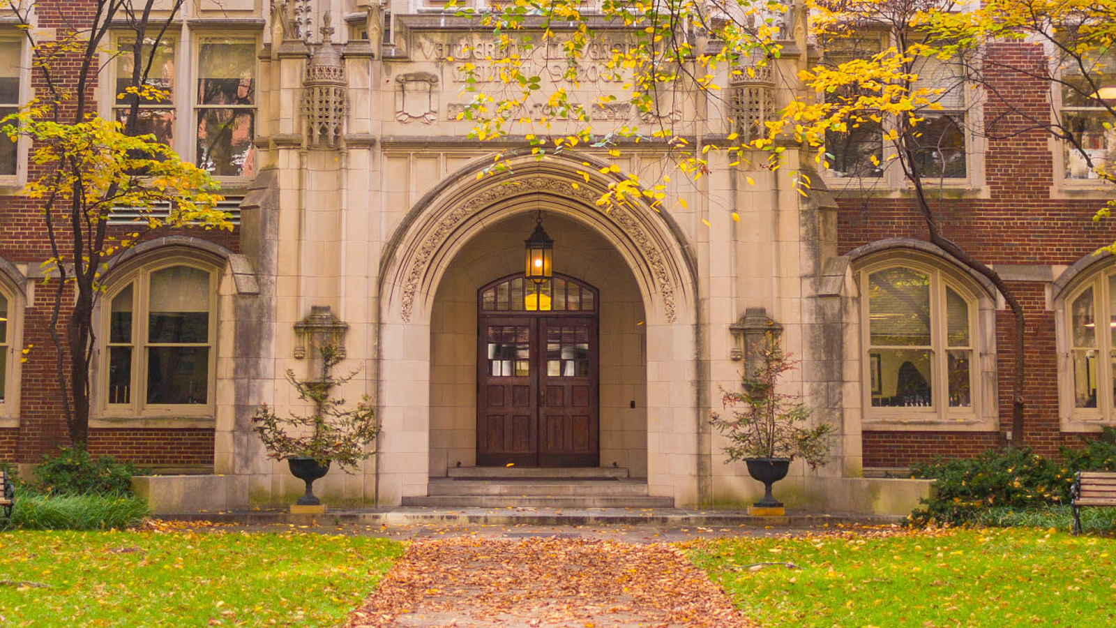 Top background School of Medicine