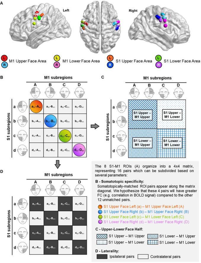 Vanderbilt University