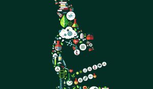 健康・医学 HUMAN BIOLOGY Amazon.com: Human Biology: .: 9781284128611: Chiras, Daniel