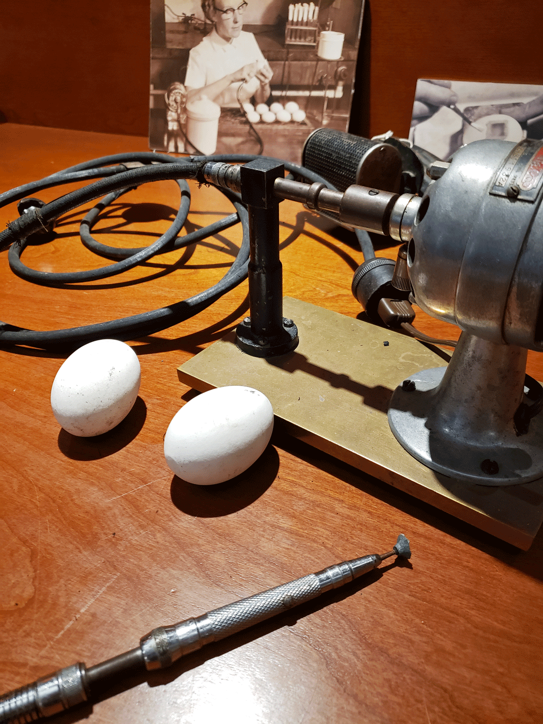 Egg Drill