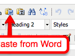 PasteFromWordButton
