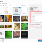 add-pdf-or-document-03
