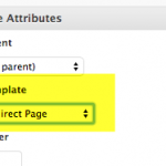 redirectpagetemplate