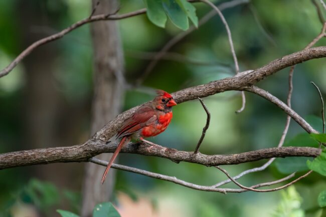 stephen-walker-1_2eY29kiok-unsplash