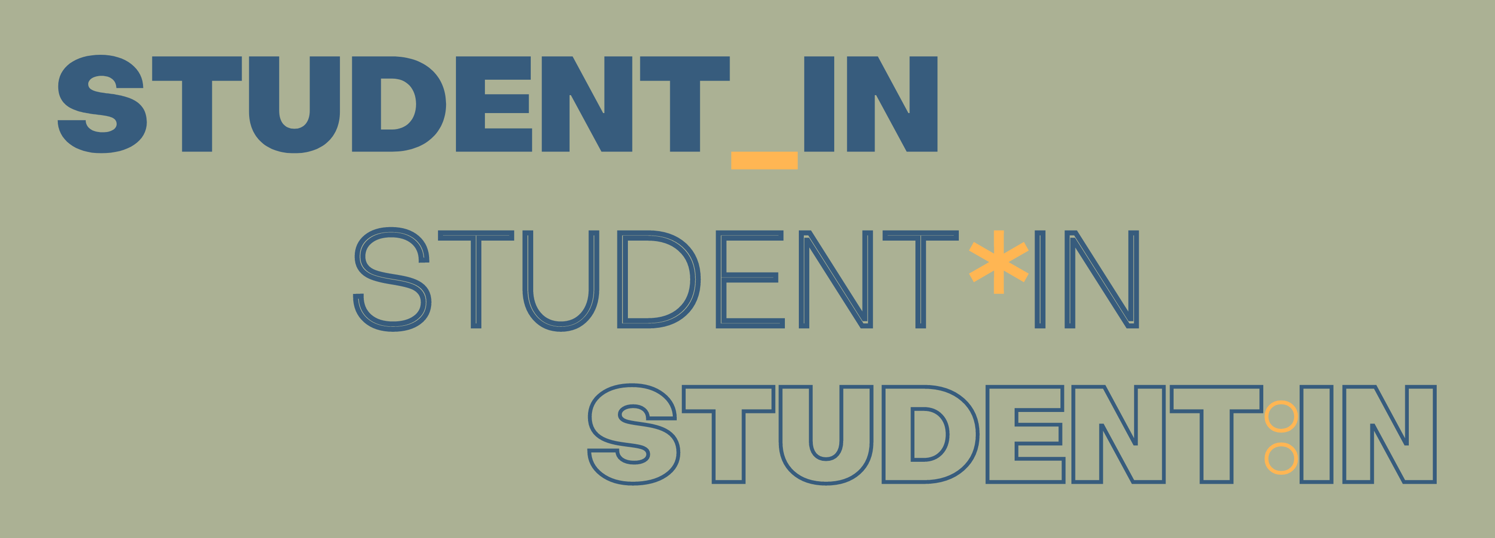 Language innovations like the “gendergap” (Student_in), the “genderstar” (Student*in), and the “gendercolon” (Student:in), help indicate what Steffen Kitty Hermann terms “a space that our language does not allow.”