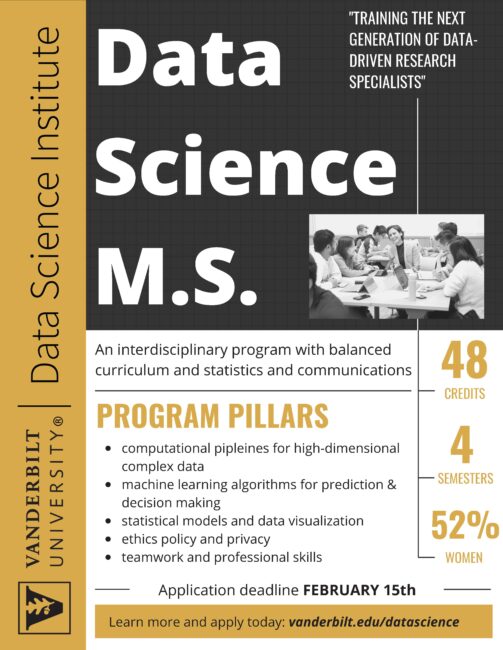 DSI_M.S. Flyer