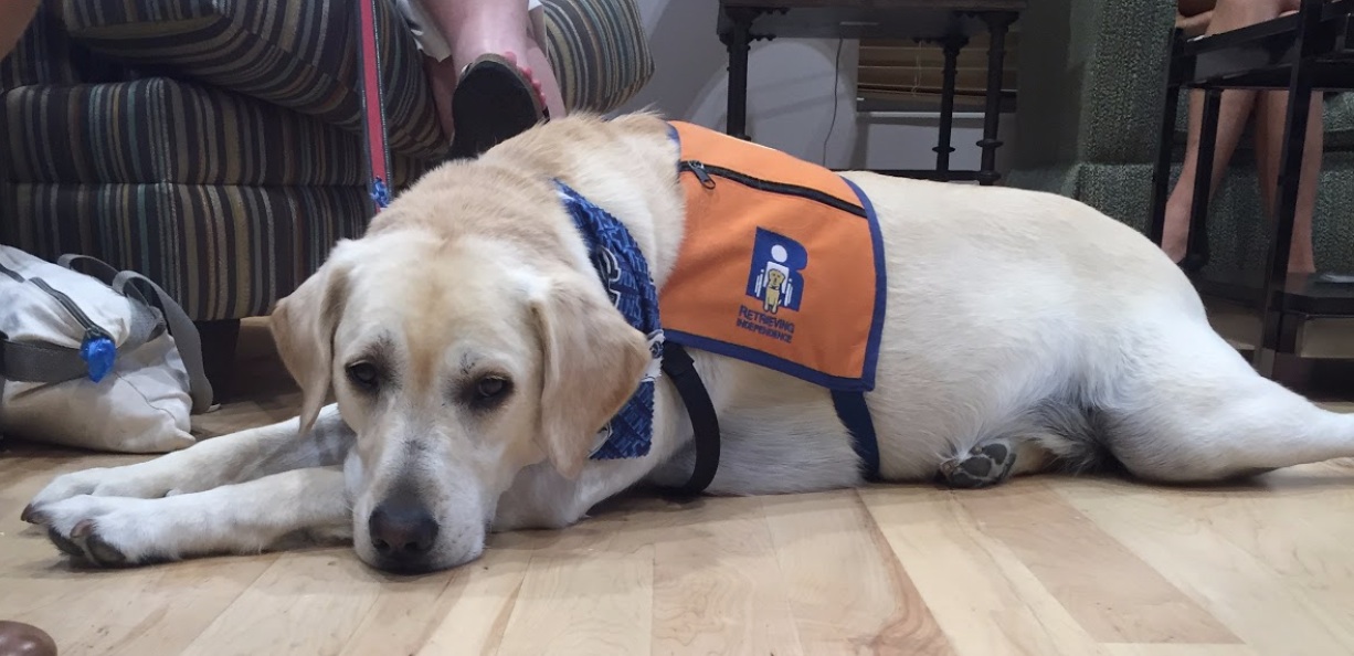 Charlie closeup copy