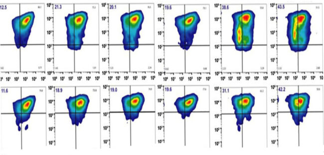 Grayson_King_MCT_2021