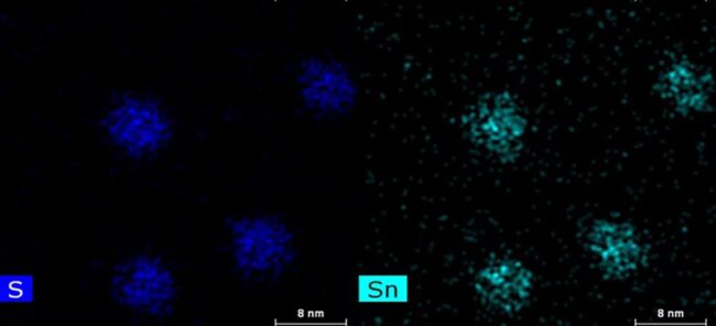 Bradsher_Rosenthal_2022