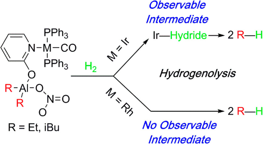 images_large_ic9b01359_0011