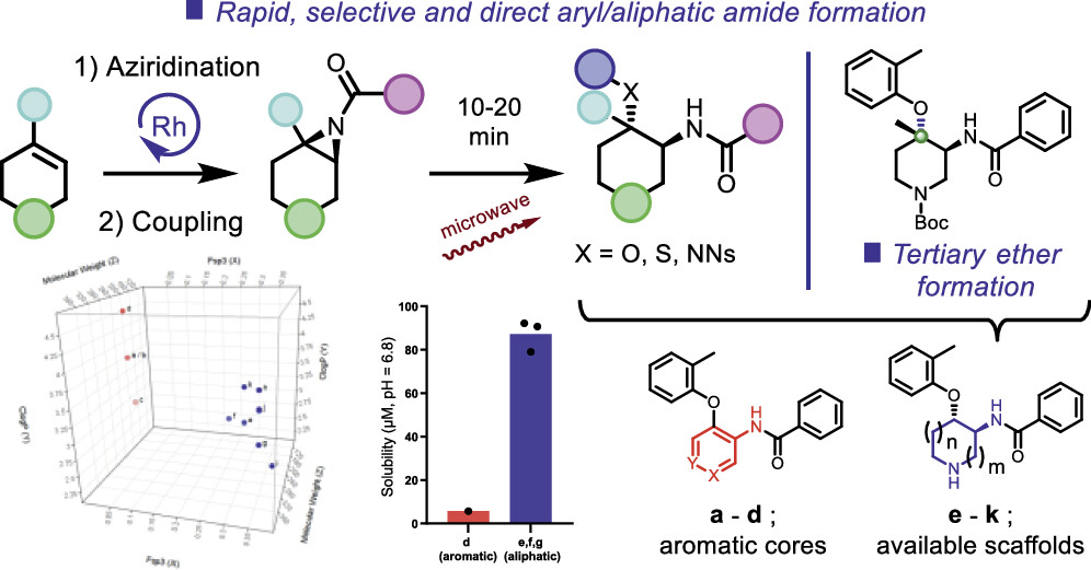 images_large_jo3c02952_0008