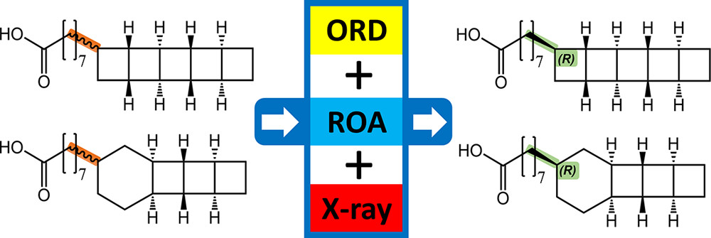 images_large_np-2018-00458e_0015
