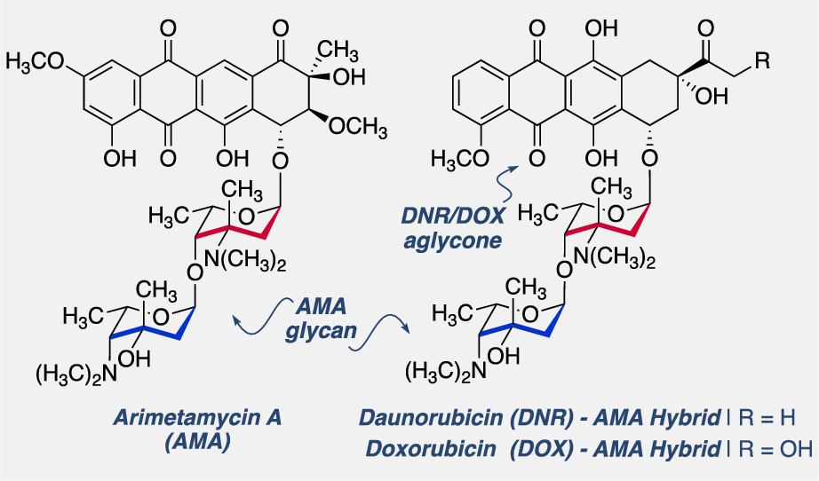 images_large_oc1c00040_0010