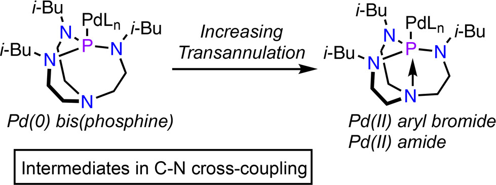 images_large_om-2018-00453u_0011