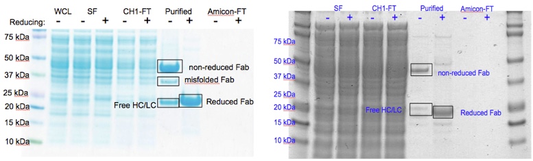 Figure2