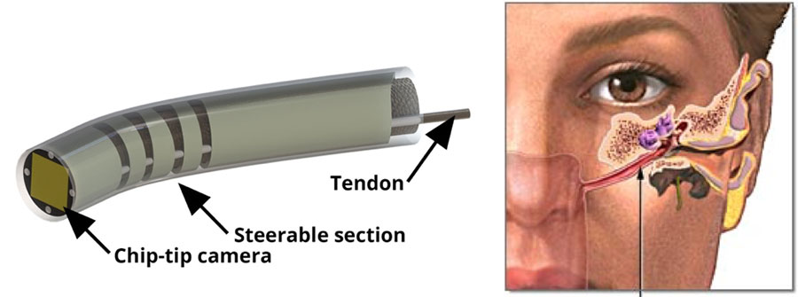 CAOS-Image_5_for-web